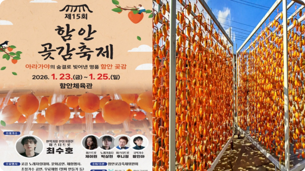 호수뉴스 이미지