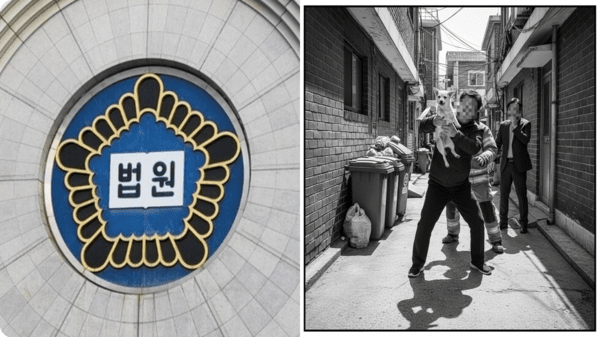 호수뉴스 이미지