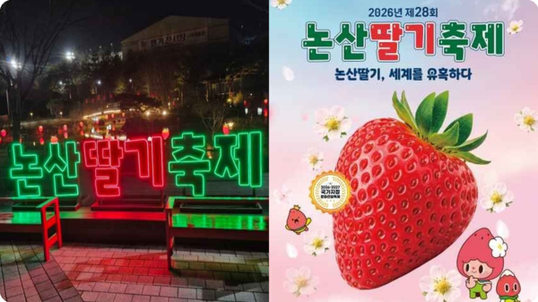 호수뉴스 이미지