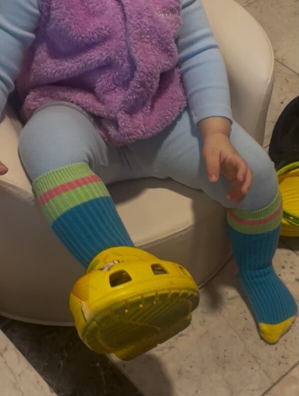 호수뉴스 이미지