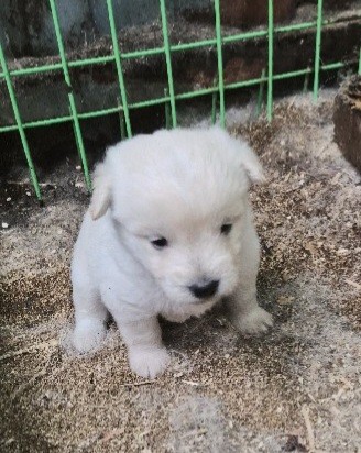 호수뉴스 이미지