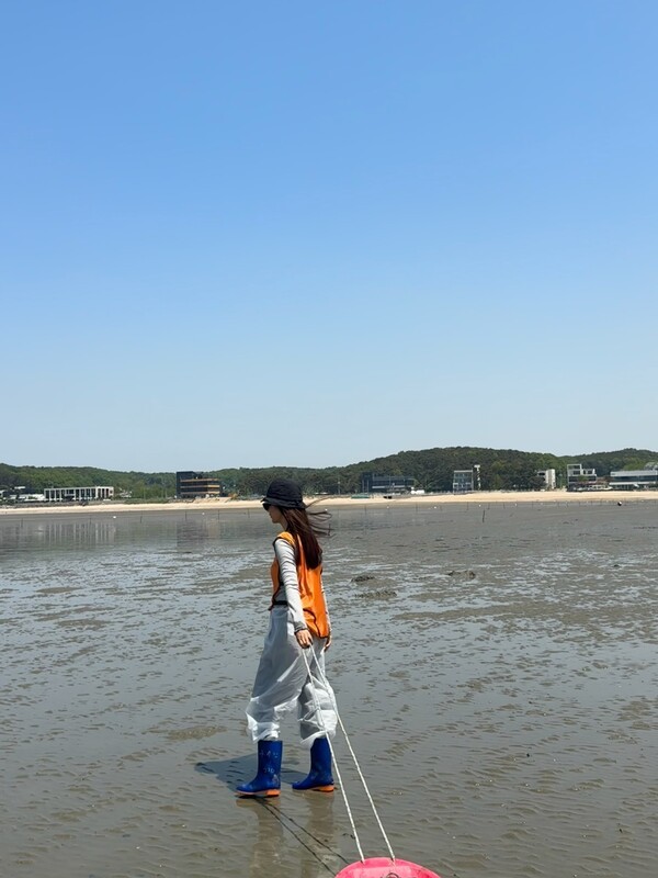 호수뉴스 이미지
