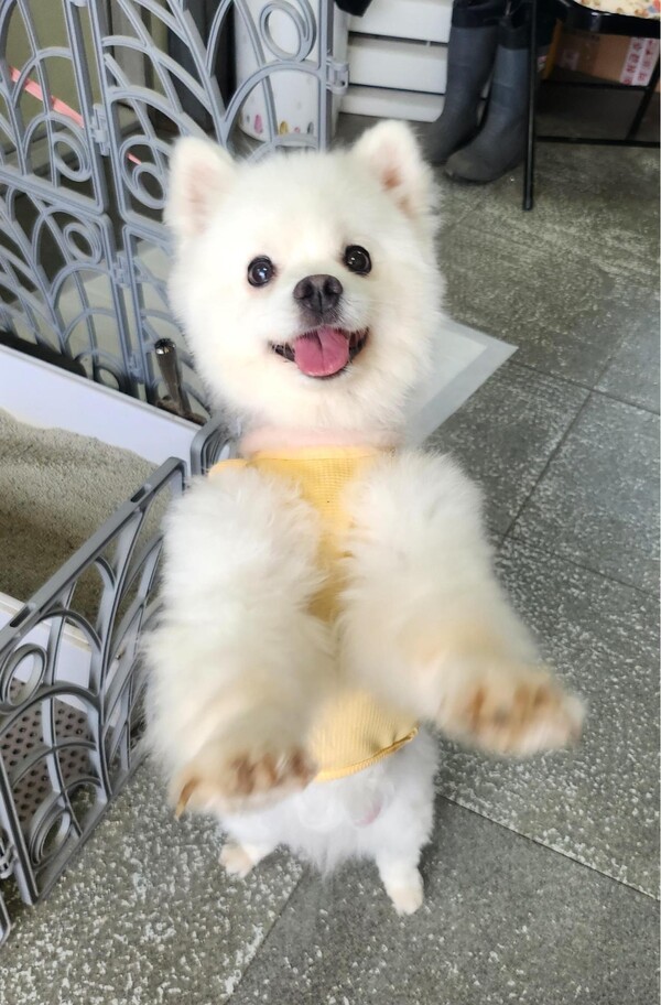 호수뉴스 이미지
