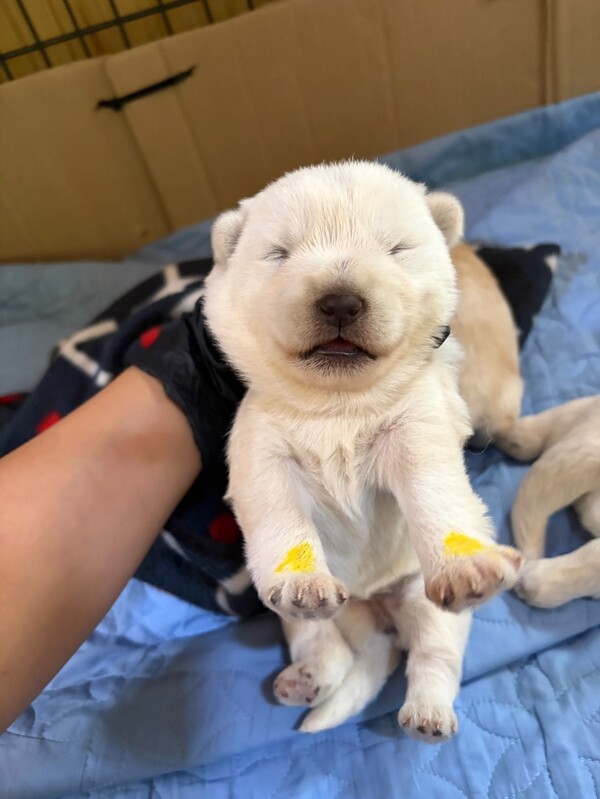 호수뉴스 이미지