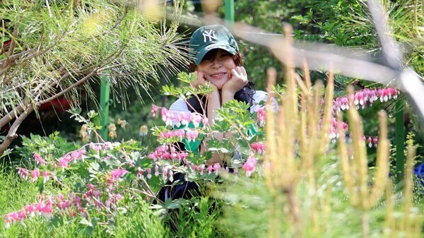 호수뉴스 이미지
