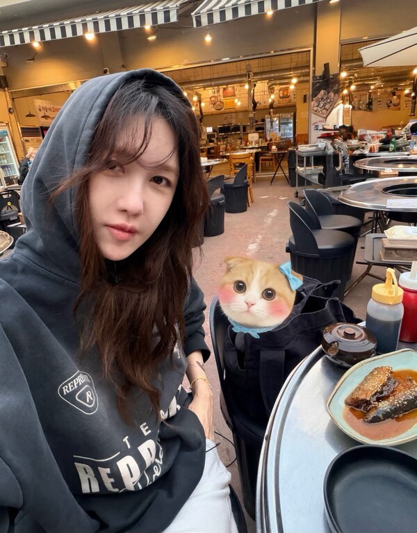 호수뉴스 이미지