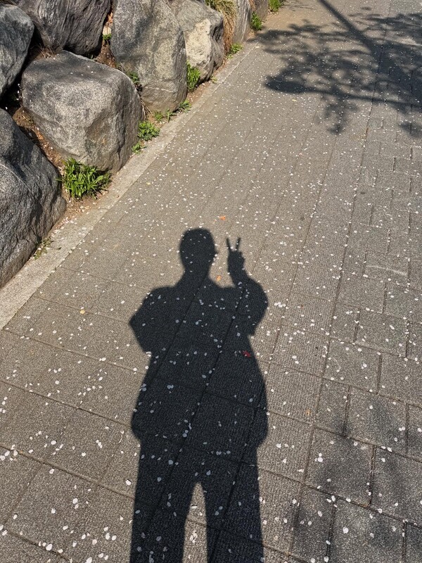 호수뉴스 이미지