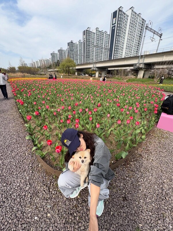 호수뉴스 이미지