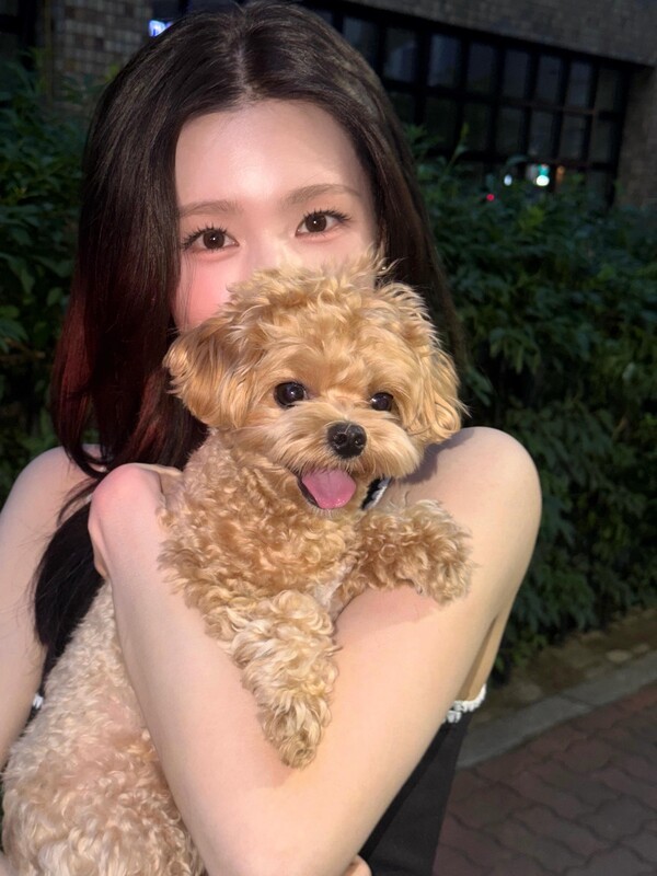 호수뉴스 이미지