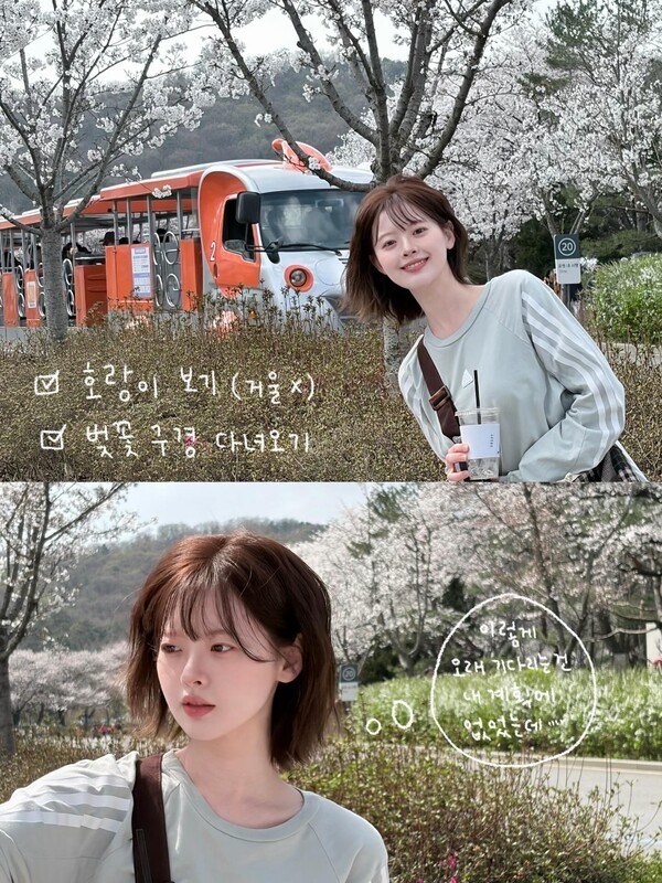 호수뉴스 이미지