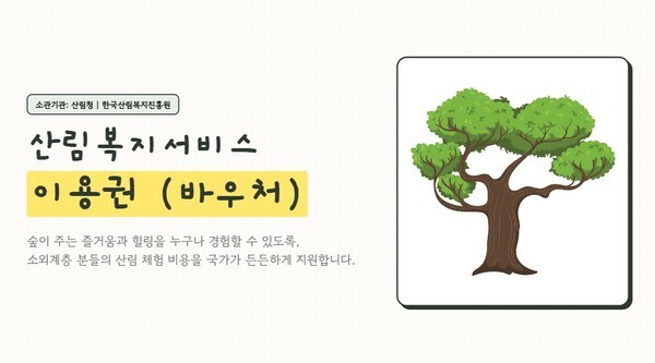 호수뉴스 이미지