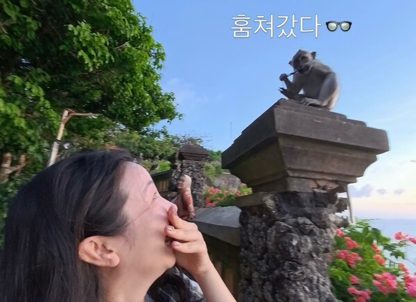 호수뉴스 이미지