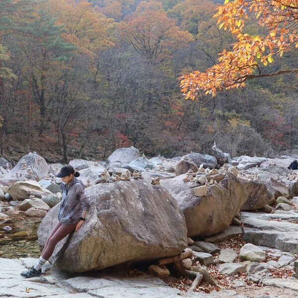 호수뉴스 이미지