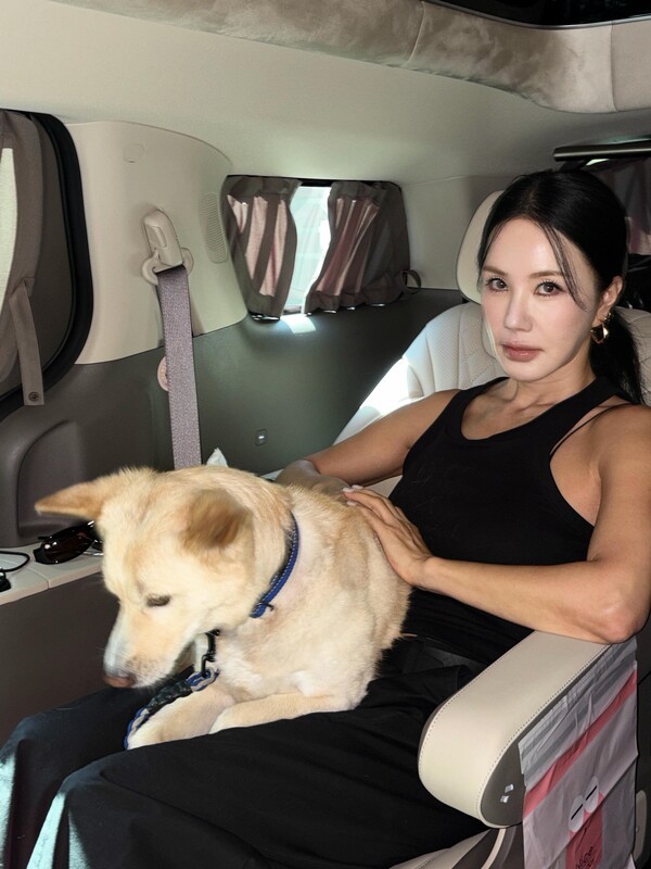 호수뉴스 이미지