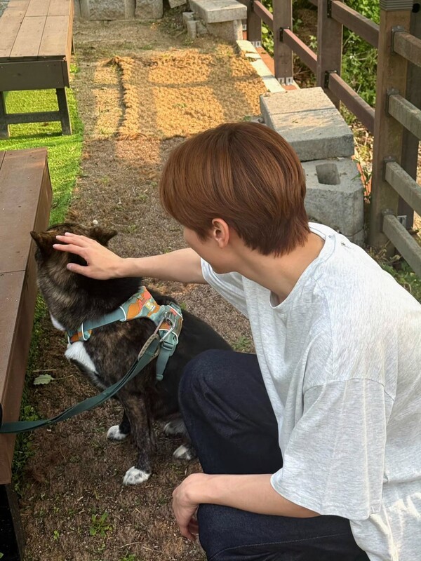 호수뉴스 이미지