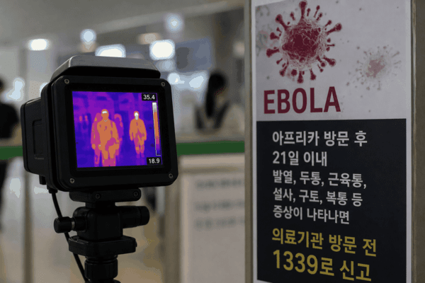 호수뉴스 이미지