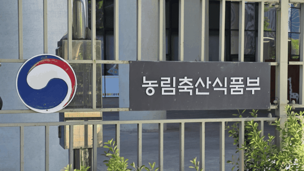 호수뉴스 이미지