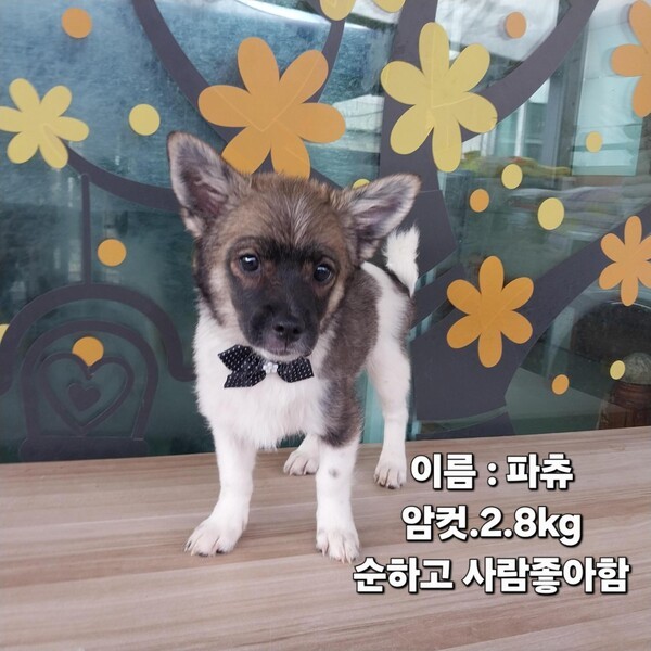 호수뉴스 이미지