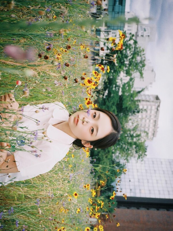 호수뉴스 이미지
