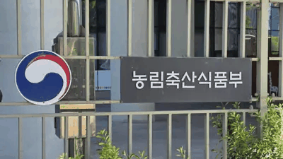 호수뉴스 이미지