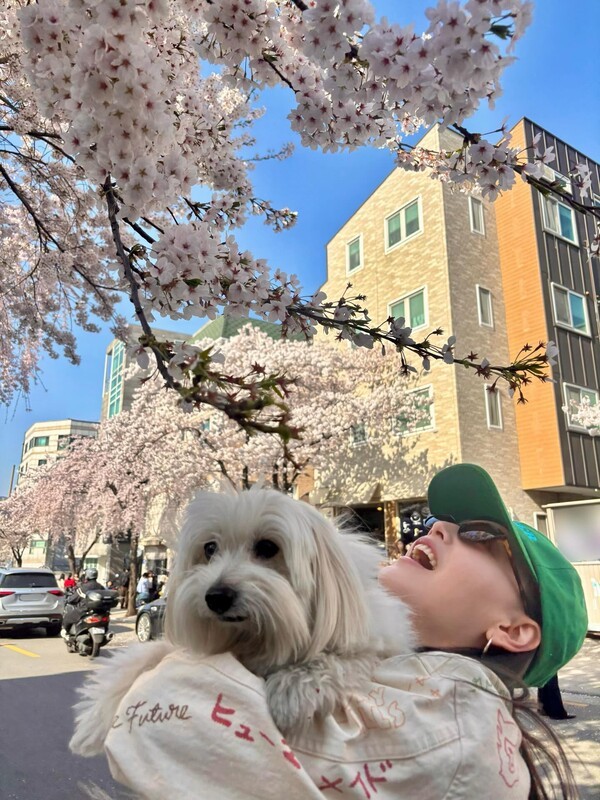 호수뉴스 이미지