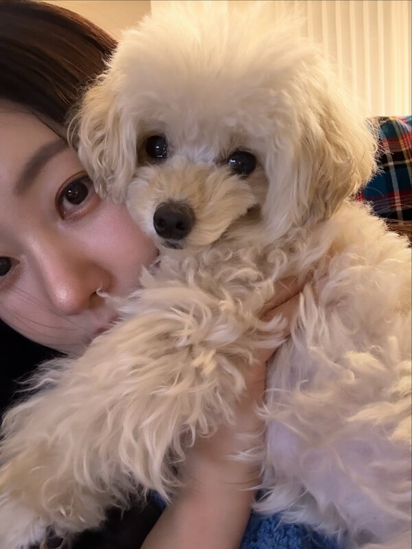 호수뉴스 이미지