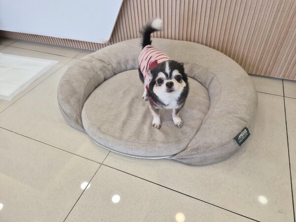 호수뉴스 이미지
