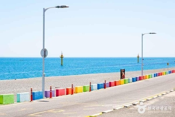 호수뉴스 이미지