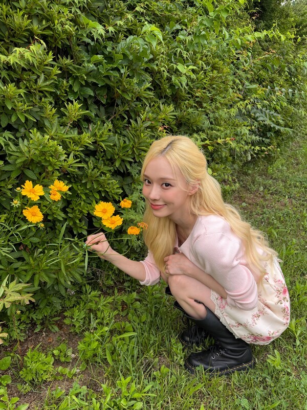 호수뉴스 이미지