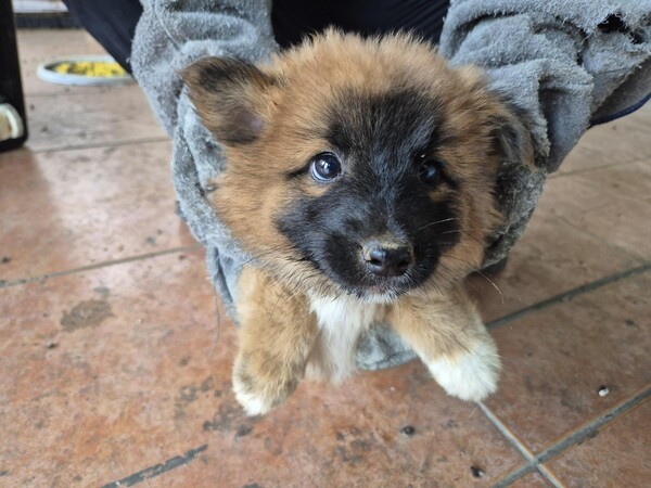호수뉴스 이미지