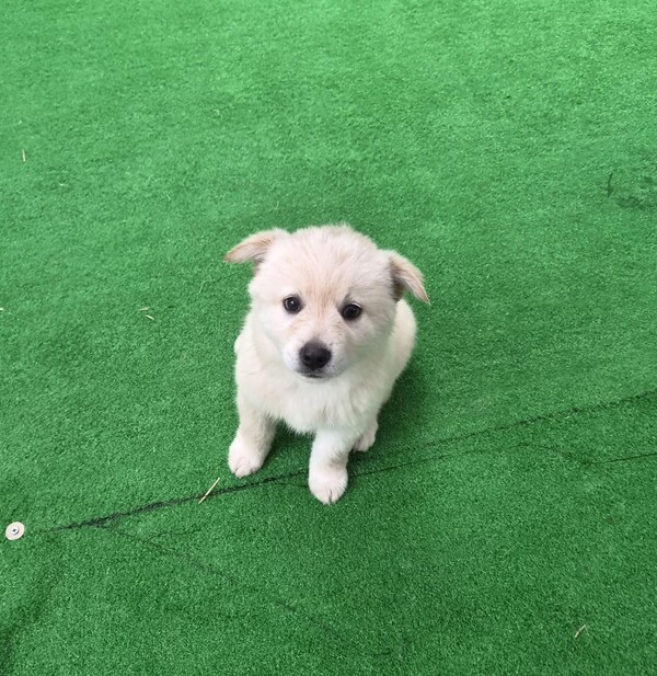 호수뉴스 이미지