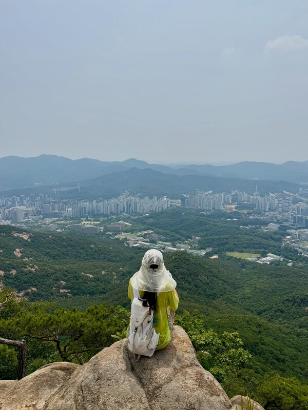 호수뉴스 이미지