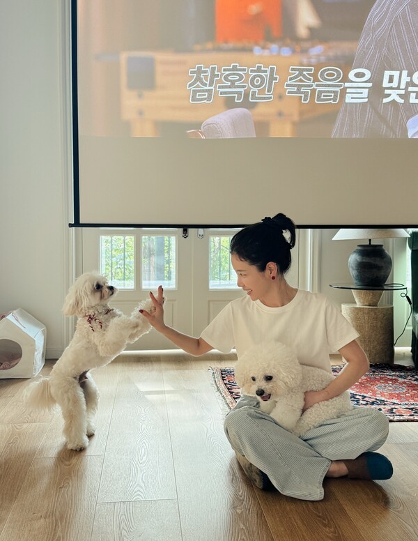 호수뉴스 이미지
