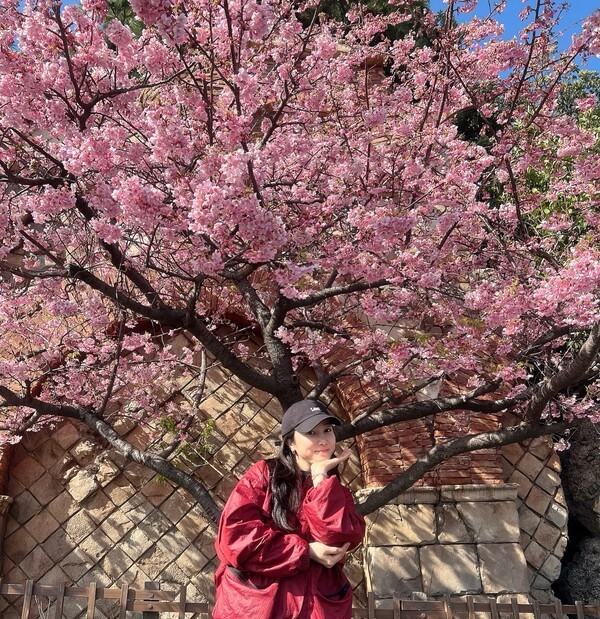 호수뉴스 이미지