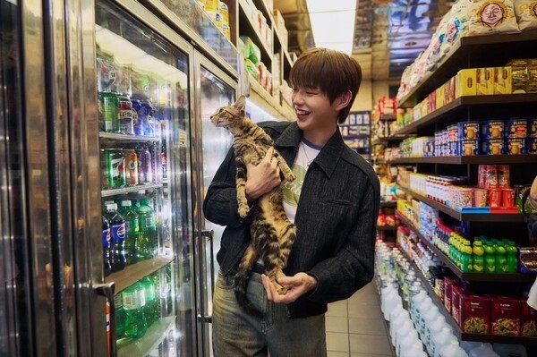 호수뉴스 이미지