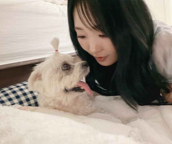 호수뉴스 이미지