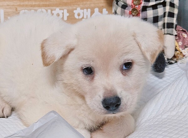 호수뉴스 이미지