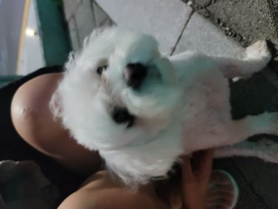 호수뉴스 이미지