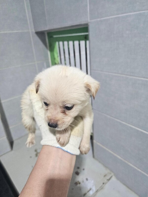 호수뉴스 이미지