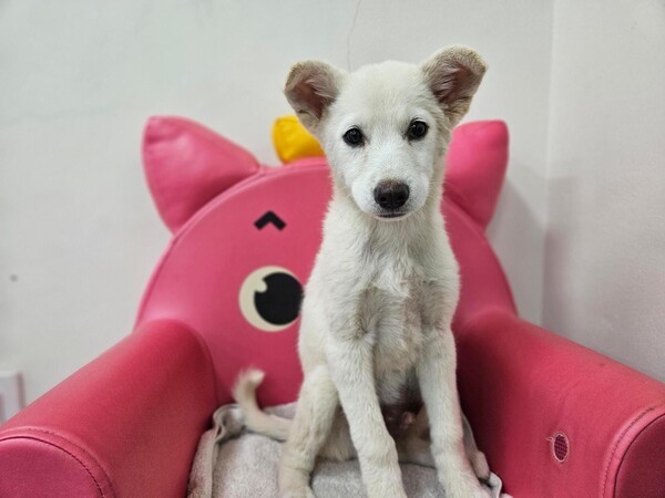 호수뉴스 이미지