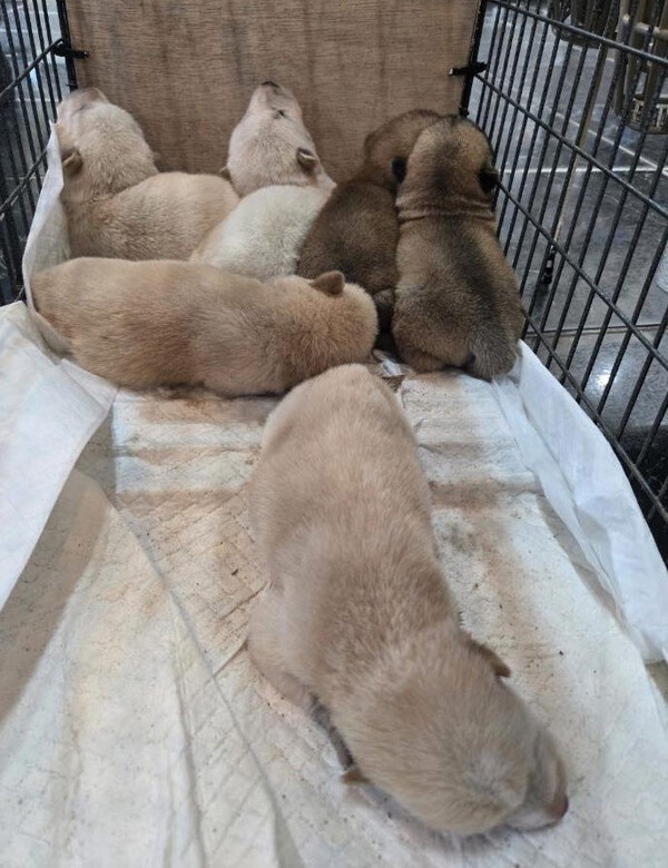 호수뉴스 이미지