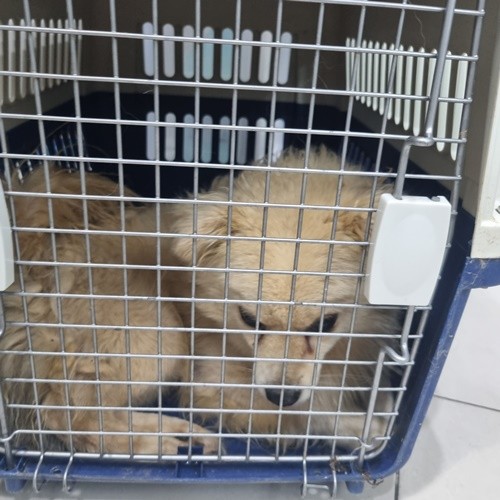 호수뉴스 이미지
