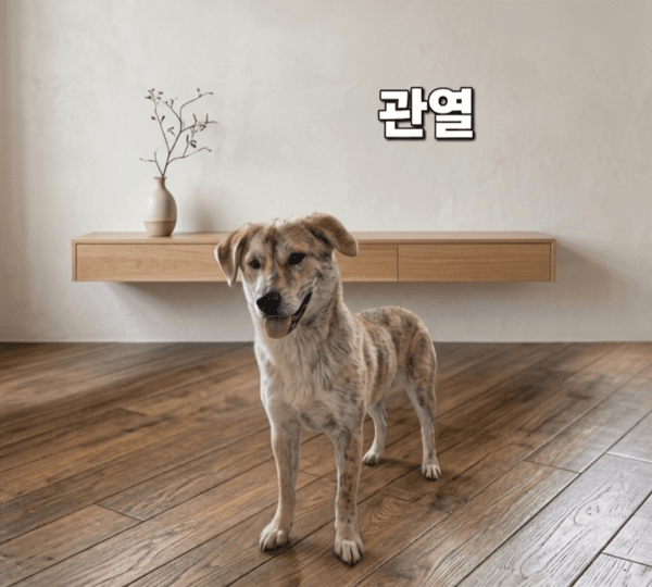 호수뉴스 이미지