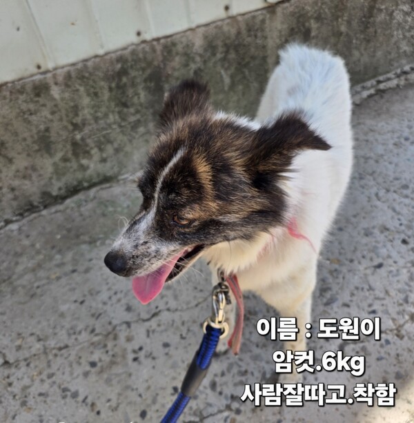 호수뉴스 이미지