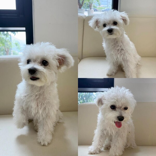 호수뉴스 이미지