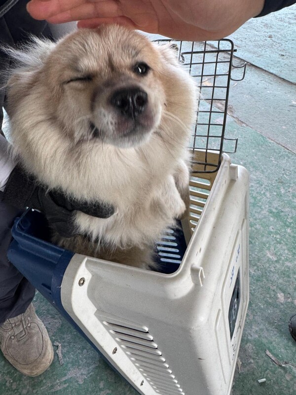 호수뉴스 이미지