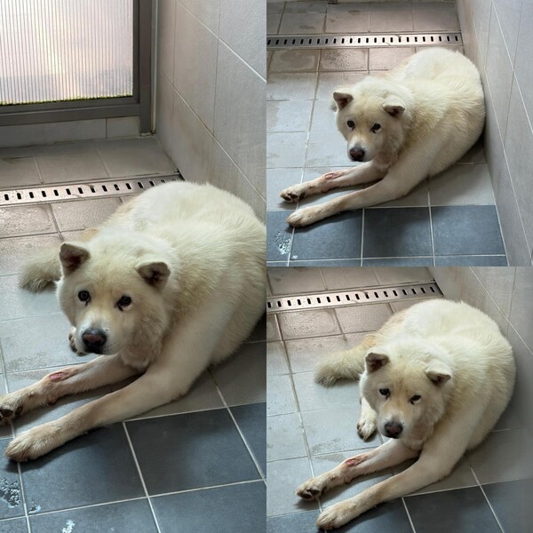 호수뉴스 이미지
