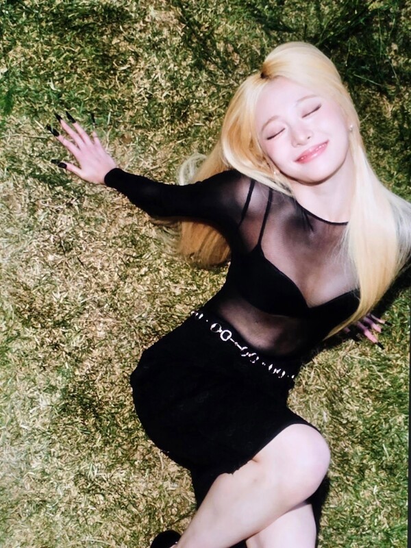 호수뉴스 이미지