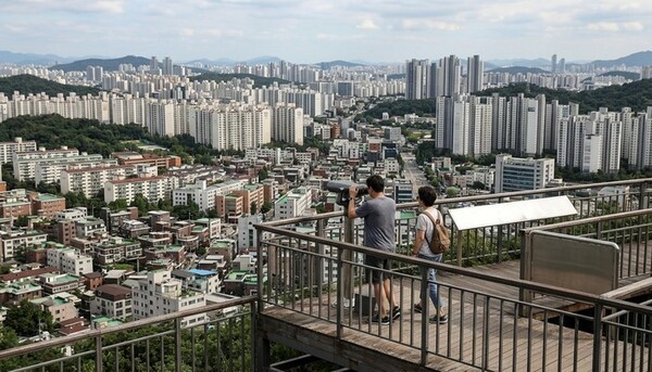 호수뉴스 이미지