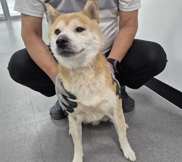 호수뉴스 이미지
